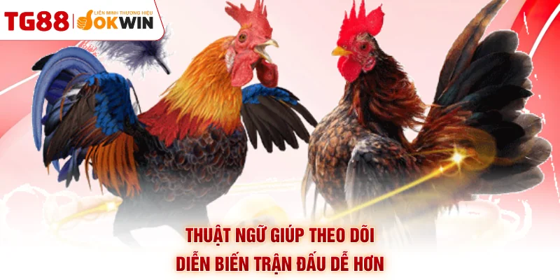 Thuật ngữ giúp theo dõi diễn biến trận đấu dễ hơn