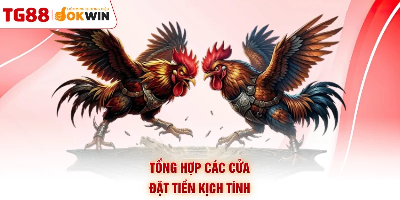 Tổng hợp các cửa đặt tiền kịch tính